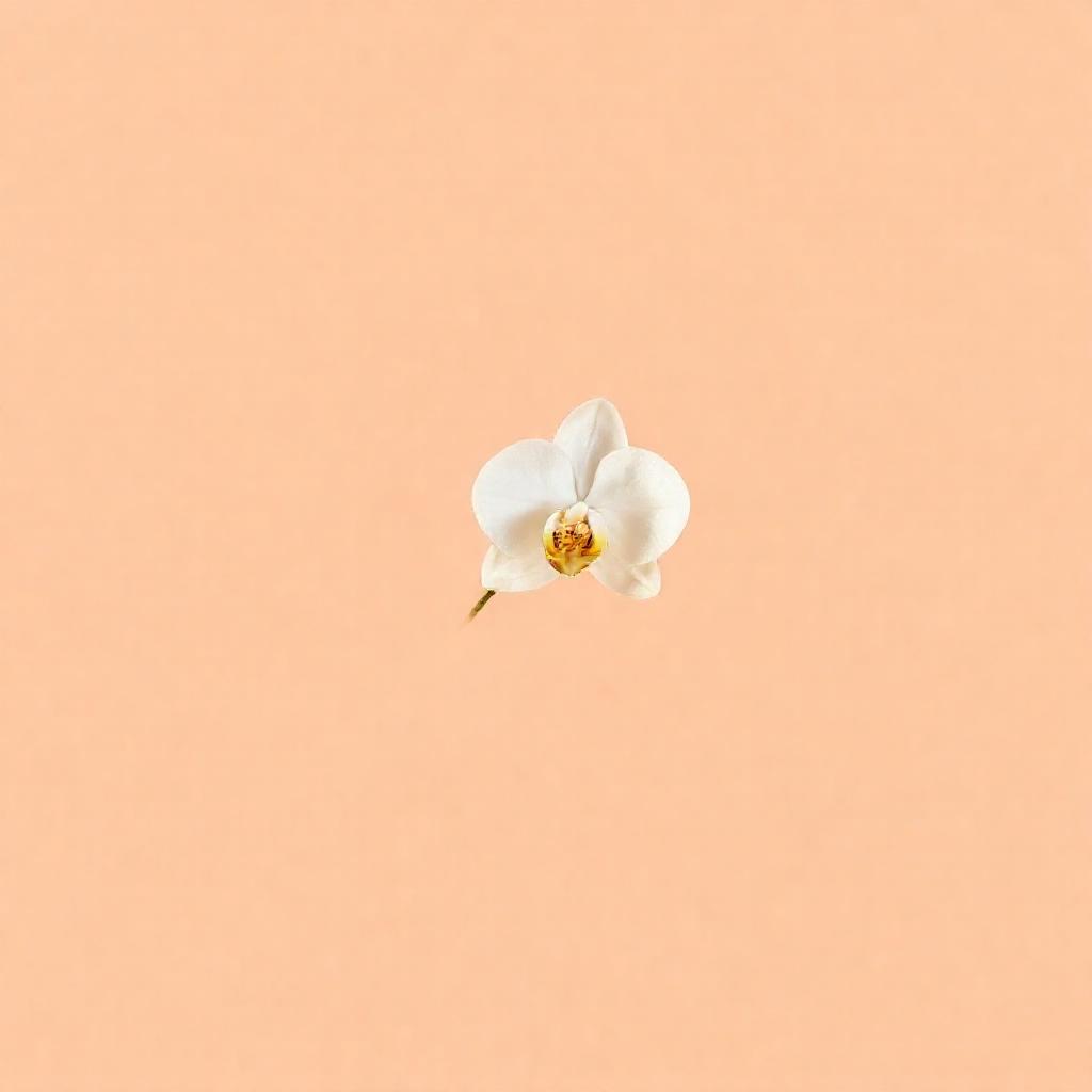 Minimalist composition: a single, delicate white orchid blossom against a soft, muted peach backgrou...
